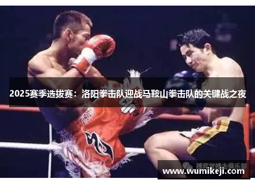 2025赛季选拔赛：洛阳拳击队迎战马鞍山拳击队的关键战之夜