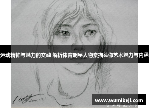 运动精神与魅力的交融 解析体育明星人物素描头像艺术魅力与内涵